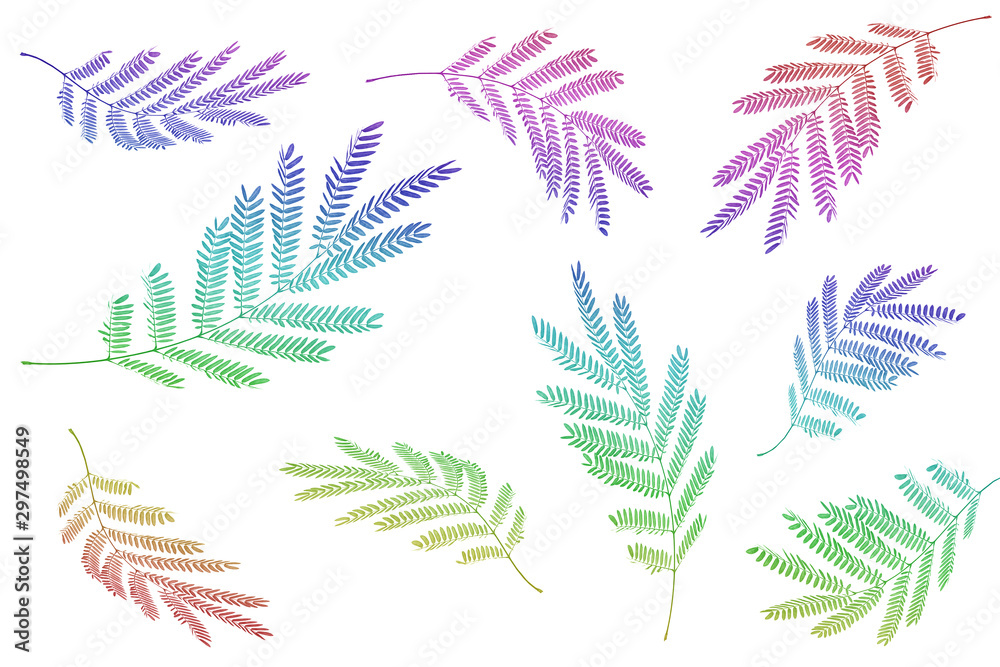 colorful leaves pattern,gradient color autumn leaf isolated on white background