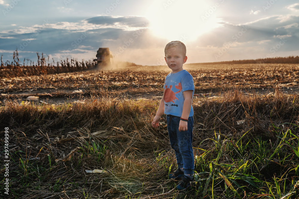 Little cute farmer boy standing on corn field and looking at camera. In background is harvester harvesting. Back lit.