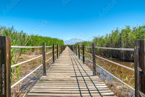 road made of wood on lake