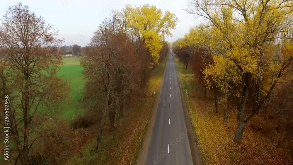 Transport Path And Golden Tree Foliage In Autumn. Aerial Drone Stock Footage Transport Path And Golden Tree Foliage In Autumn. Aerial Drone Stock Footage
