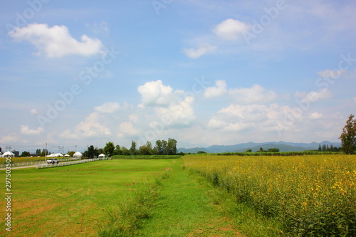 farmland with blue sky white cloud mountain beayitful view ,