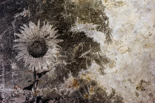 Obraz słonecznik w połączeniu z surowym betonem