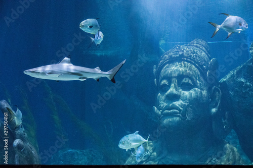 Sea Life Bangkok Ocean World Aquarium in the shopping center of Siam Paragon