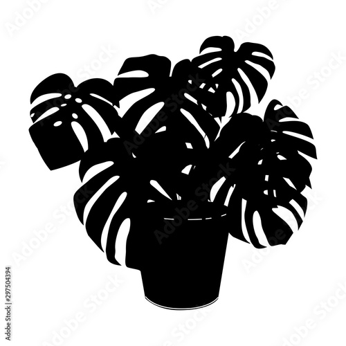 Black silhouette tropical monstera in pot isolated on the white background, vector