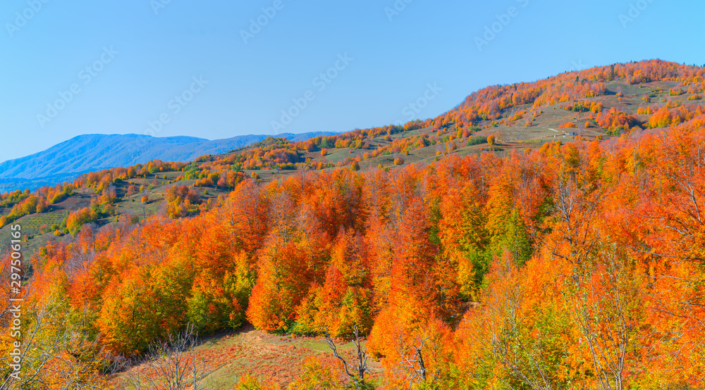 Autumn landscape in (seven lakes) Yedigoller National Park - Bolu, Turkey