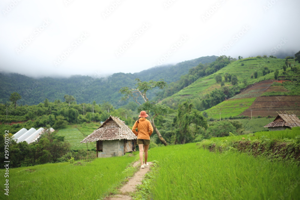 Woman walking at Terrace rice fields in Chaing Mai, Thailand