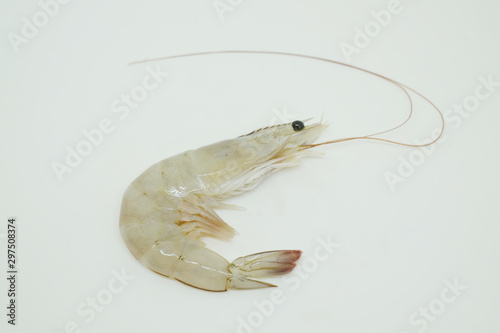 A whiteleg shrimp, Pacific white shrimp, King prawn, Penaeus vannamei isolated on white background. photo