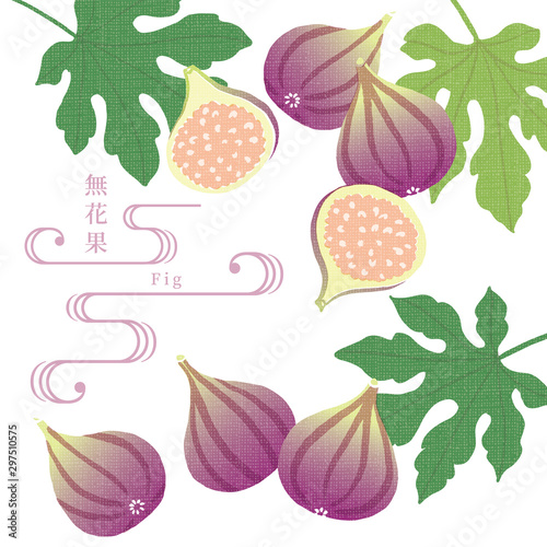 イチジクのイラスト/手ぬぐい風/和柄