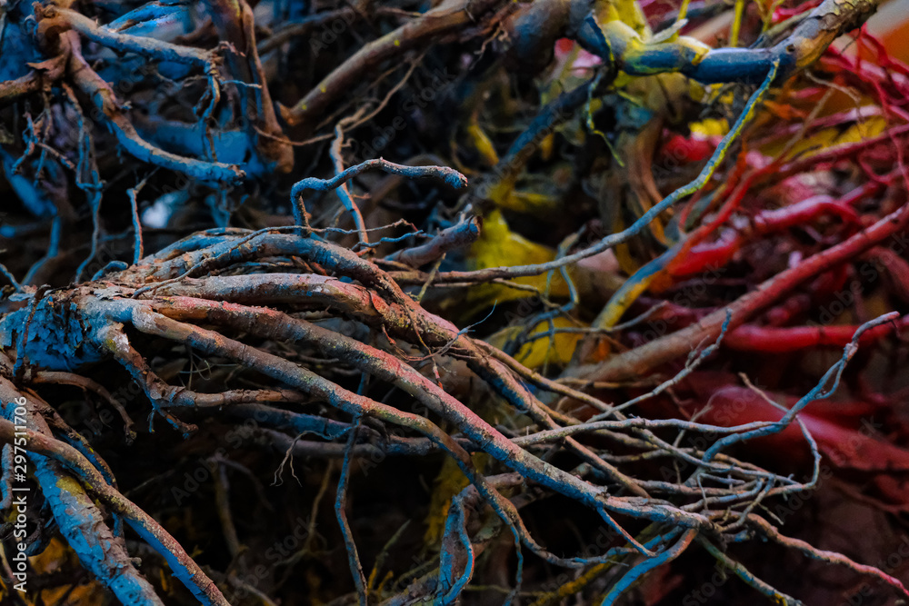 abstract roots