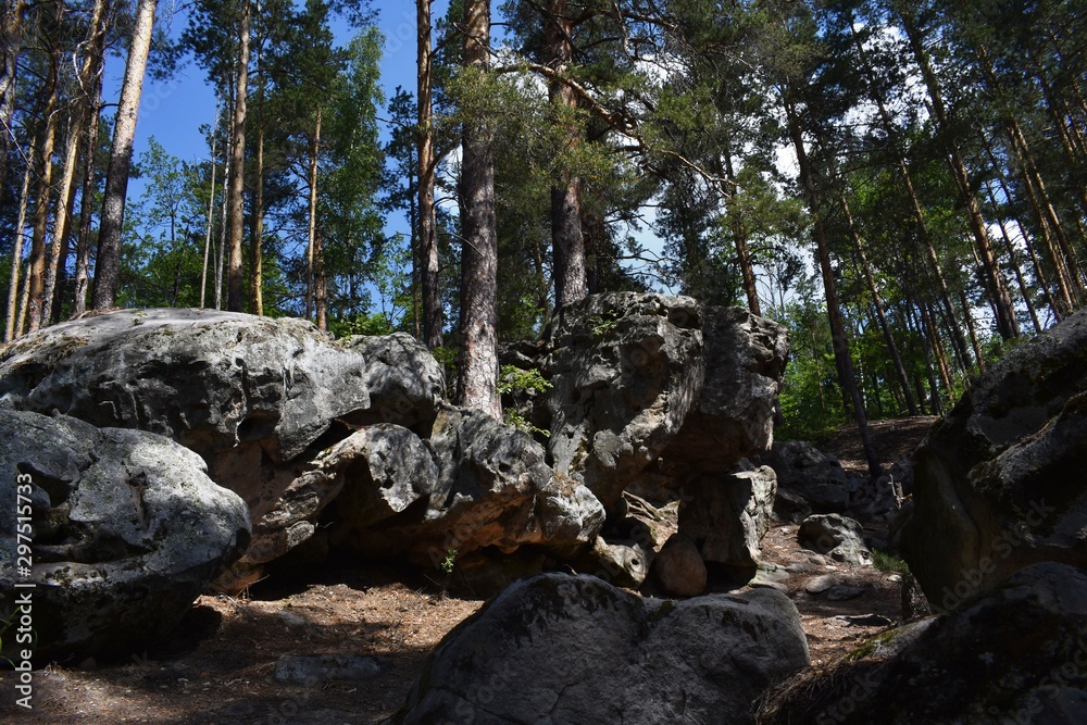 Malopinsky nature sanctuary of the Samara region Russia