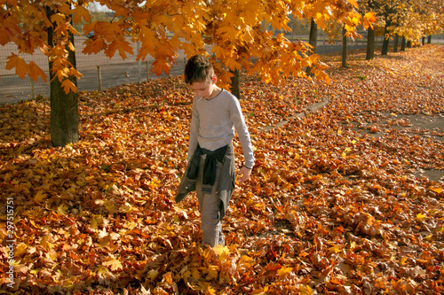Boy in Autumn Park
