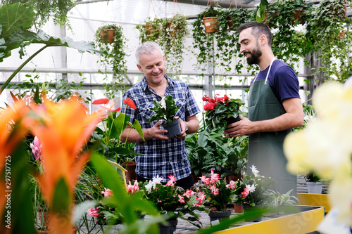 Sales Manager Talking To Client Buying Plant in Florist Shop