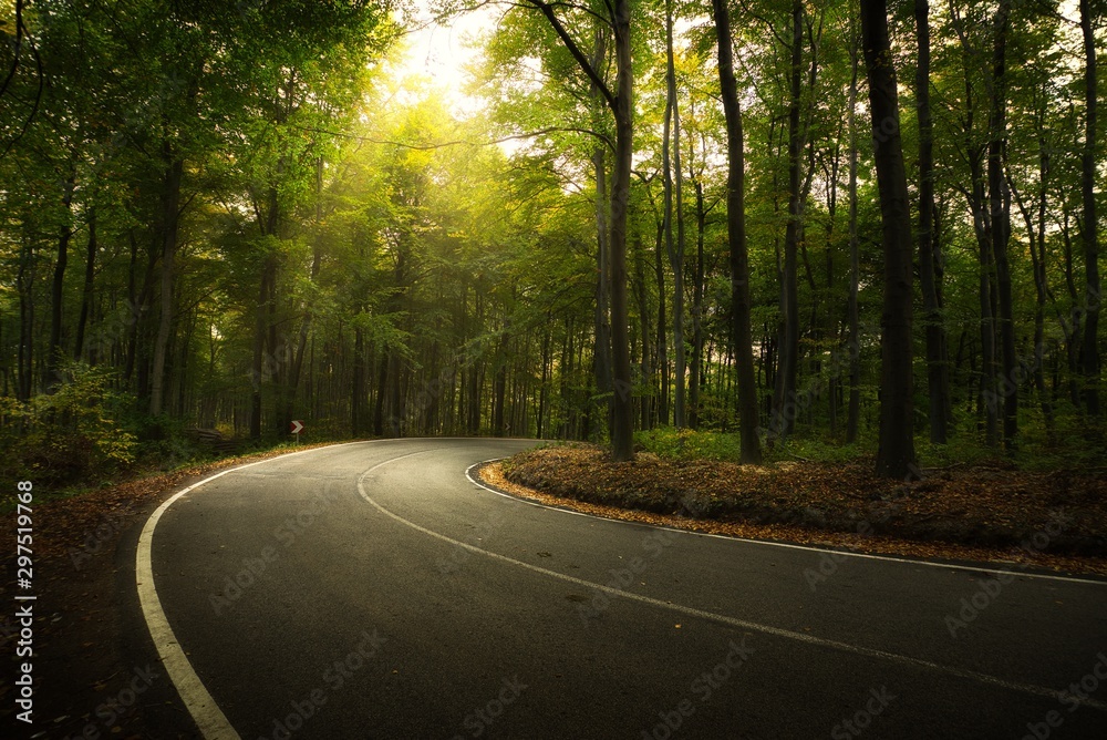 Fototapeta premium Asphalt road across autumn forest