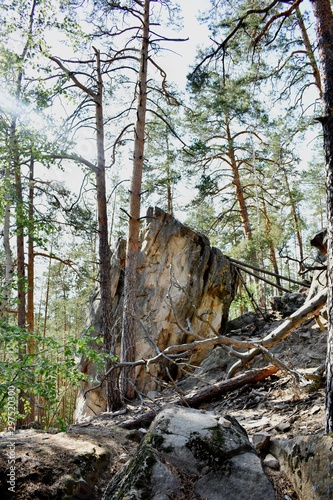 Malopinsky nature sanctuary of the Samara region Russia