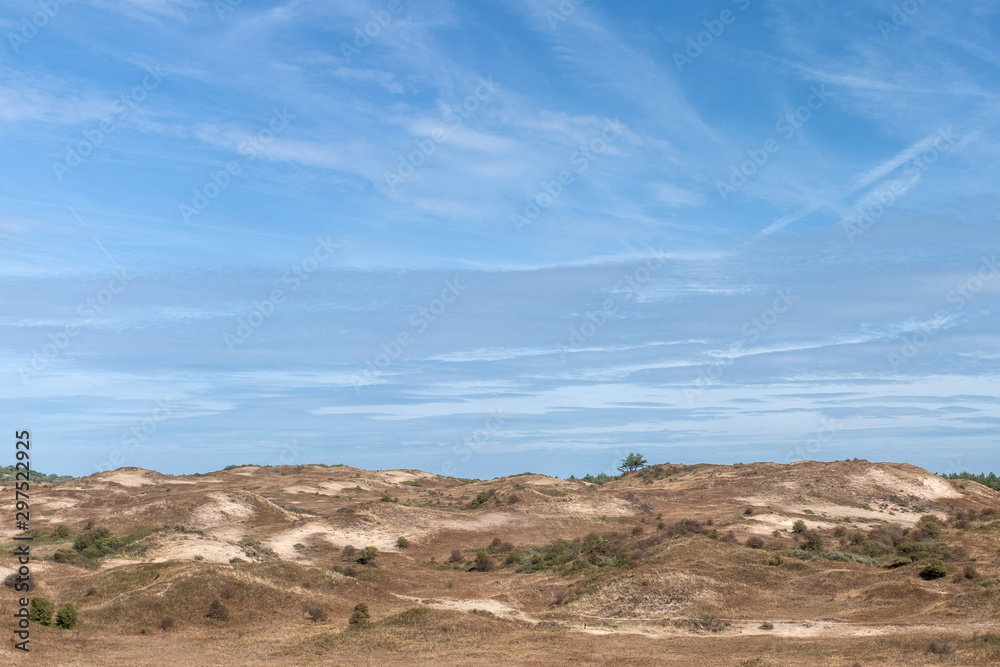 Dry dune landscape in the summer