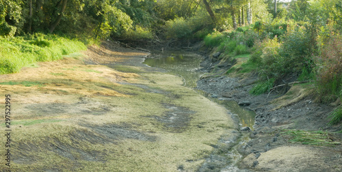 Drought and drying river Morava water, dry up the soil cracked, eutrophication c Fototapeta