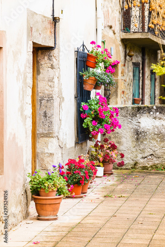 Old street with flower pots © Pabkov