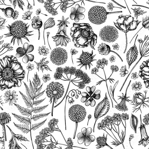 Seamless pattern with black and white shepherd's purse, heather, fern, wild garlic, clover, globethistle, gentiana, astilbe, craspedia, lagurus, black caraway, chamomile, dandelion, poppy flower, lily