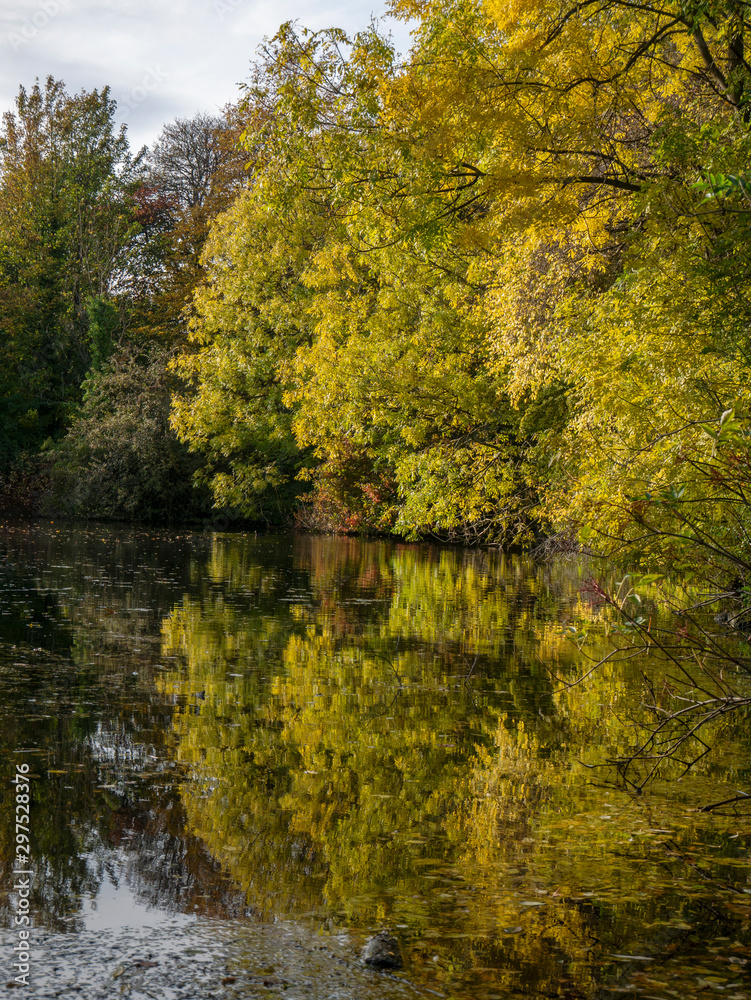 Fototapeta premium Øster Anlæg sø reflektion
