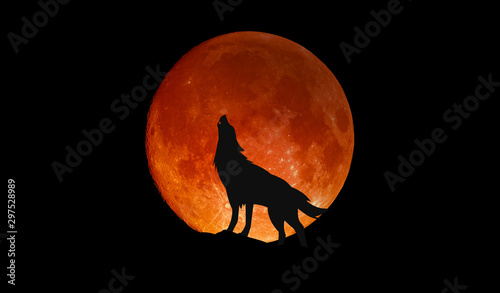 Wolf howling at the big full blood moon photo