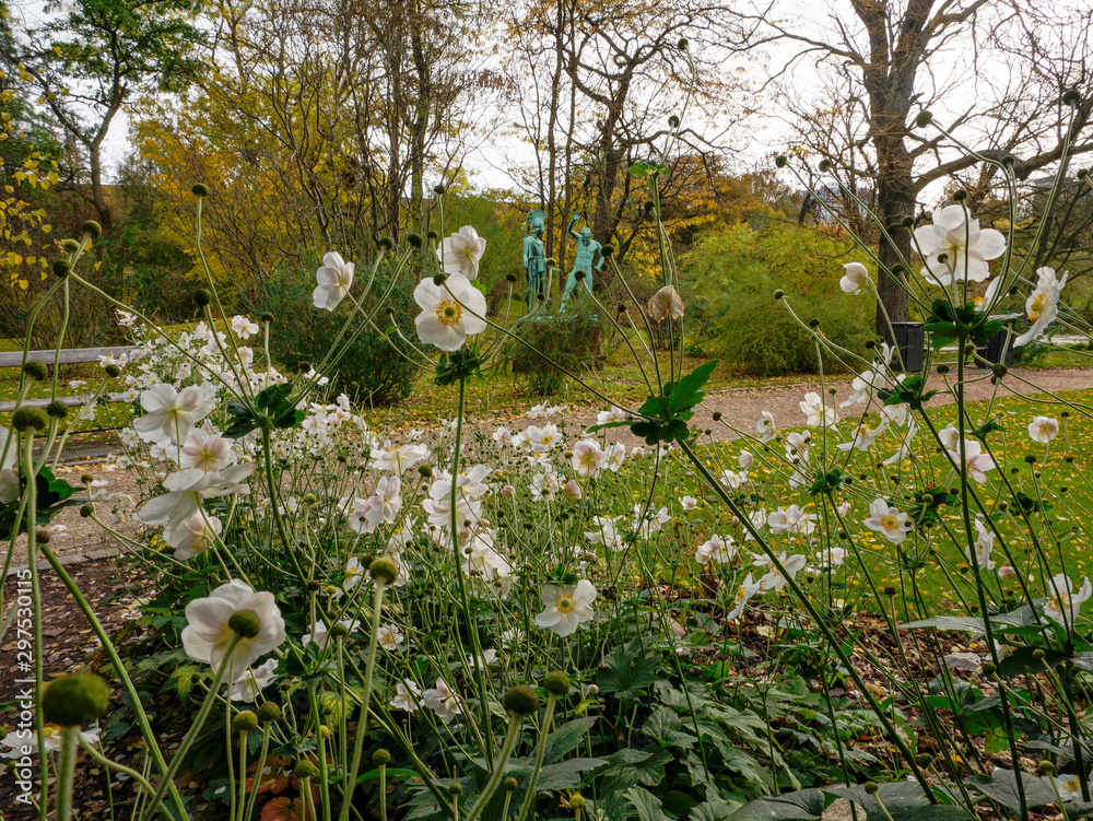 Obraz premium Botanisk Have blomster