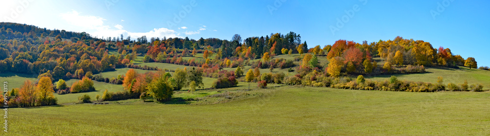 bunter Herbstwald