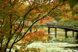 山寺の池に掛かる橋