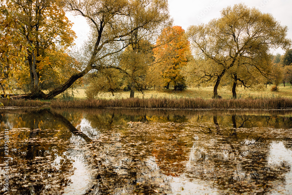 view of beautiful lake in the autumn evening view of beautiful lake in the autumn evening