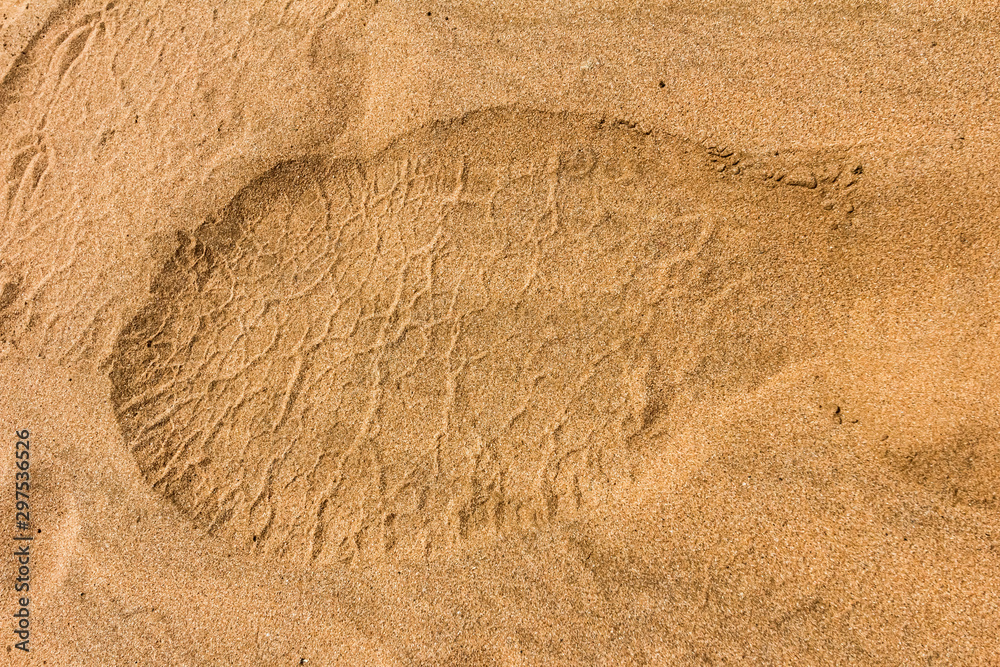 Elephant footprint in the sand Stock Photo Adobe Stock