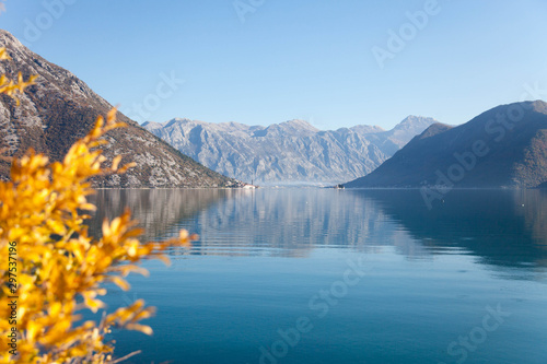 Autumn landscape. Fall leaves on sea background. Yellow and orange tree near blue water. Beach with amazing reflections of mountains. The Kotor Bay  Montenegro. Copy space  place for text.
