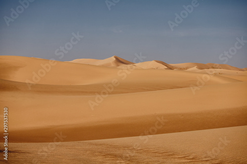 Sands Hongoryn Els in the Gobi Desert  Mongolia