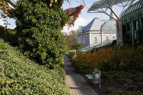 An unusual autumn park on the territory of the Warsaw Library - a great time with a book in the air.