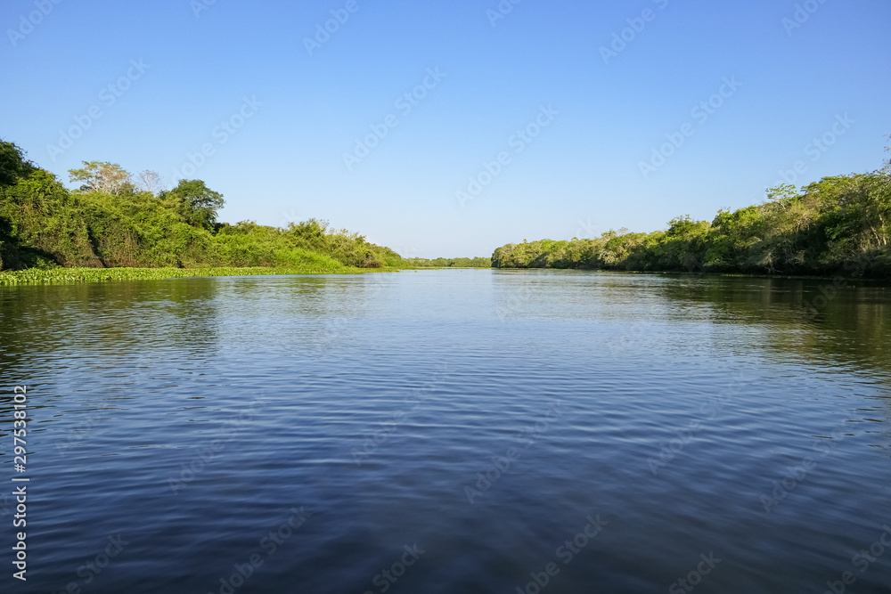 Tranquil view over a typical Pantanal river framed with green vegetation and blue sky, Pantanal Wetlands, Mato Grosso, Brazil