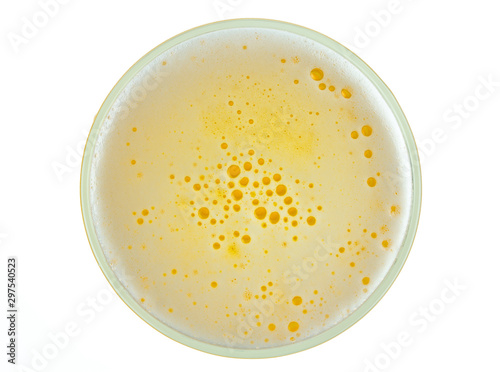 close-up glass of beer isolated on white background.top view.