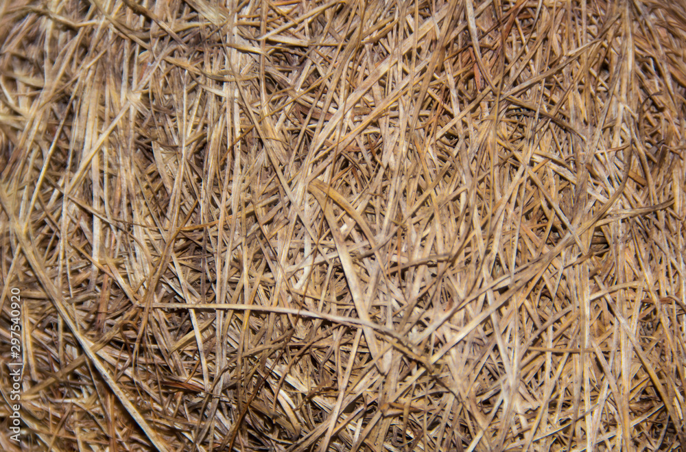natural straw background /Bird's nest on the tree natural straw background /Bird's nest on the tree