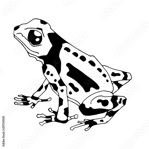 Isolated vector illustration of a tropical poison dart frog. Dendrobatidae . Ranitomeya amazonica. Flat cartoon style. Hand drawn linear ink sketch. Black silhouette on white background.