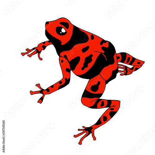 Frog cartoon tropical red animal cartoon nature icon funny and isolated mascot character wild funny forest toad amphibian vector illustration.