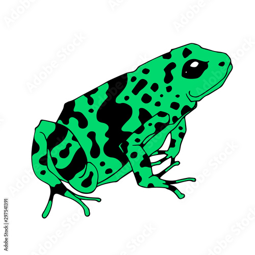 Frog cartoon tropical green animal cartoon nature icon funny and isolated mascot character wild funny forest toad amphibian vector illustration.