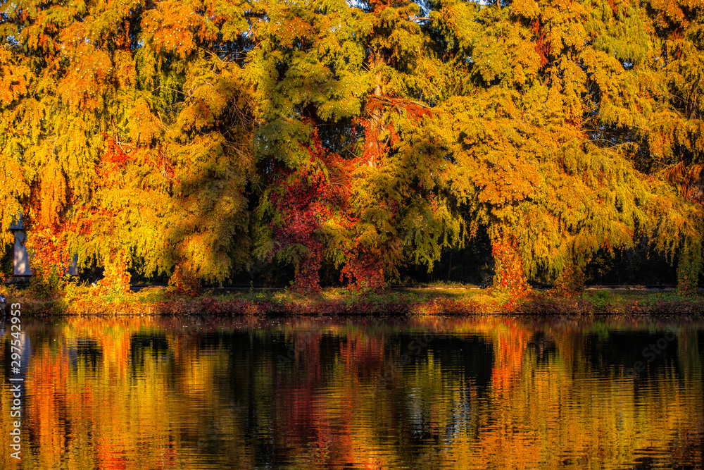 Beautiful Colorful Autumn Leaves, sunny day. Beautiful Colorful Autumn Leaves, sunny day.
