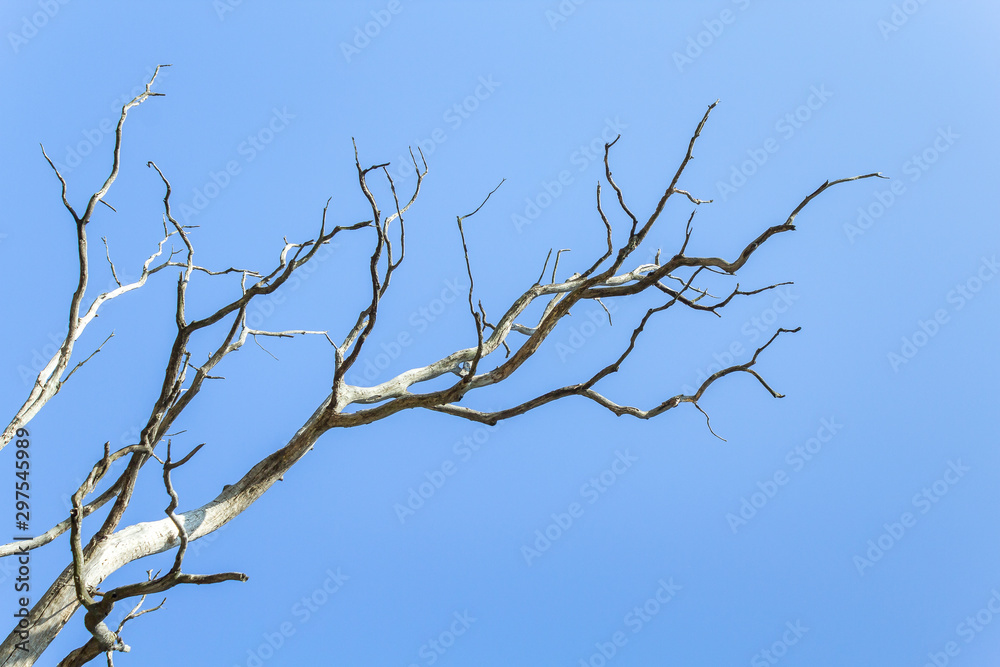 Natural background of dry tree branches against bright blue sky