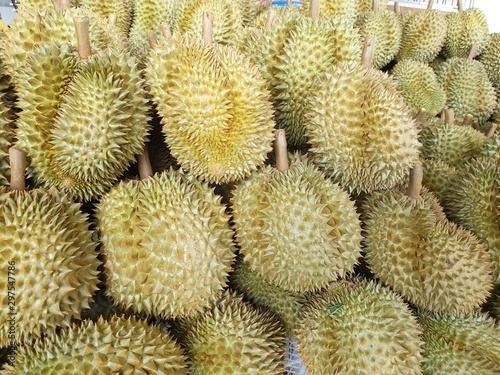 Group of fresh durians in the durian market. © Kung37