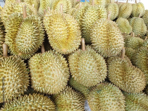 Group of fresh durians in the durian market.