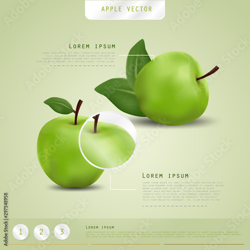 Realistic Green Apples Banner background. Realistic 3d apples. Detailed 3d Illustration Poster or Banner. Healthy and Natural fruit design in EPS10 vector illustration.