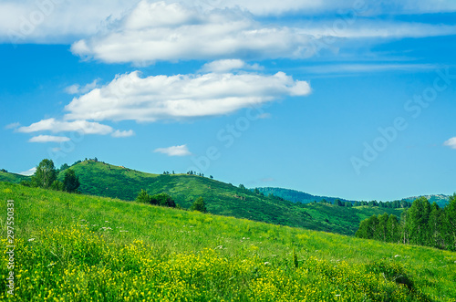 Hills with green trees and meadows  white clouds on blue sky  Altai Mountains  Kazakhstan.