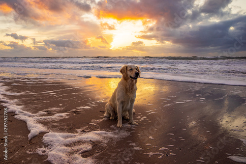 Urlaub mit Hund in Dänemark