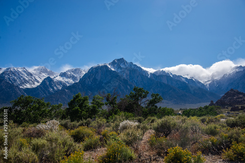 Lone Pine White Mountains in the back