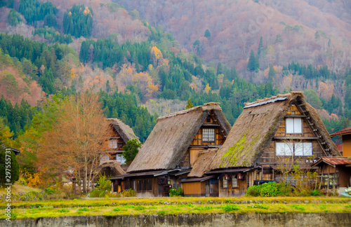 Shirakawago village in autumn with maple, Japan