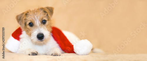 Christmas happy pet dog puppy with santa hat, web banner with copy space