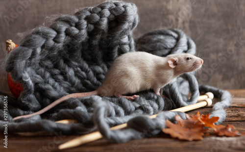   Cute little grey rat, mouse sitting on a knitting. Still life in vintage style.. Concept for New Year of the Rat. Chinese New Year symbol