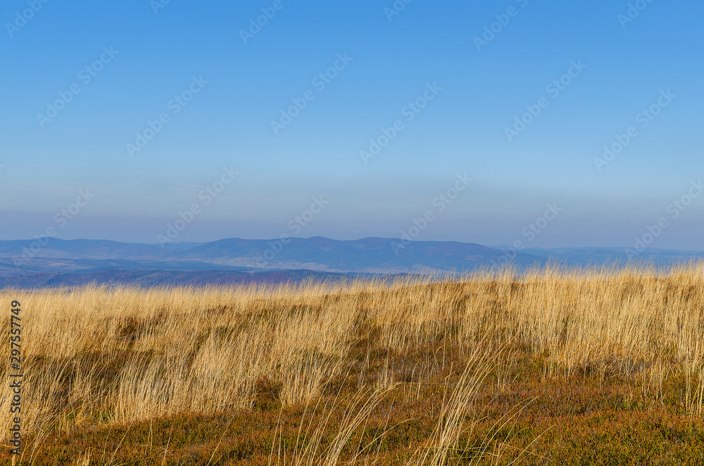 trawy na połoninach bieszczady trawy na połoninach bieszczady